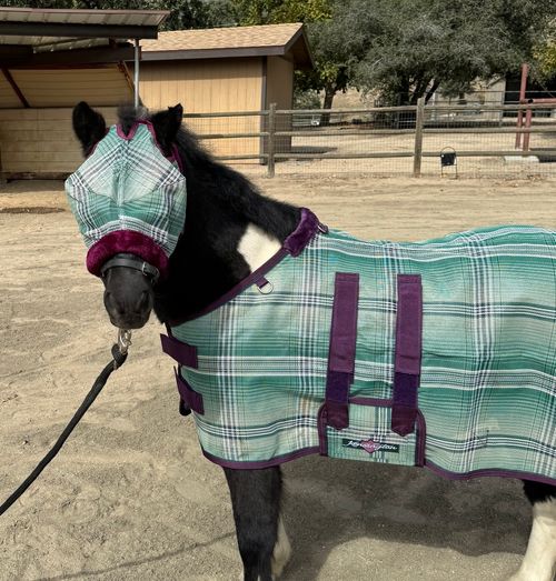 Kensington Mini/Pony Fleece Trim Fly Mask - Imperial Jade