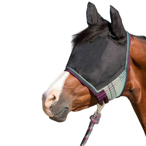 Kensington Uviator Catch Mask w/Ears and Forelock - Imperial Jade