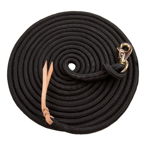 Kensington 10ft Solid Color Clinician Training Lead - Black/Goldtone