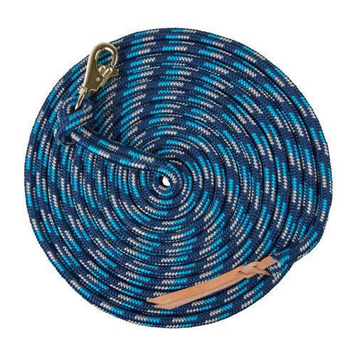 Kensington 10ft Tri-Colored Clinician Training Lead - Kentucky Blue/Satin Nickle