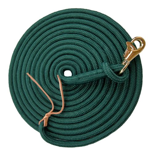 Kensington 10ft Solid Color Clinician Training Lead - Hunter/Goldtone