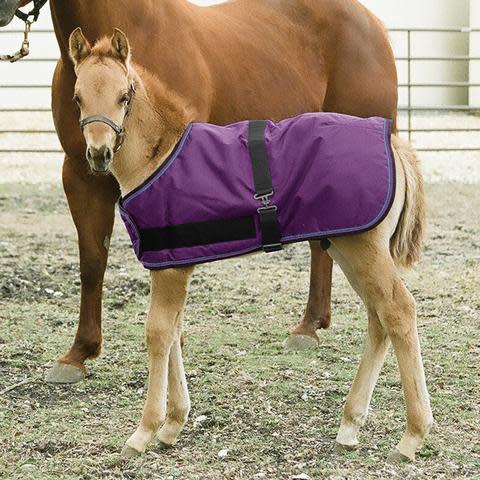 Kensington Signature Adjustable Foal Turnout - Purple