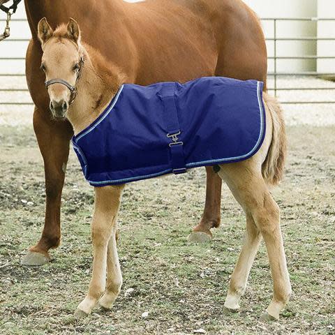 Kensington Signature Adjustable Foal Turnout - Navy