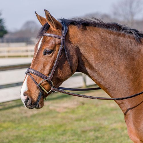 M. Toulouse Comfort Crown Snaffle Bridle - Chocolate