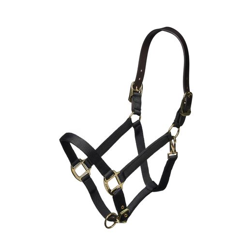 Shires Nylon Halter w/Leather Head Strap - Black