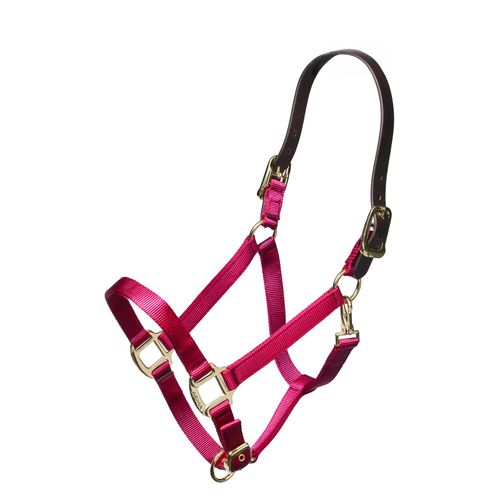 Shires Nylon Halter w/Leather Head Strap - Raspberry