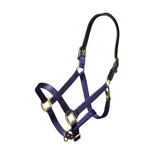 Shires Nylon Halter w/Leather Head Strap - Navy