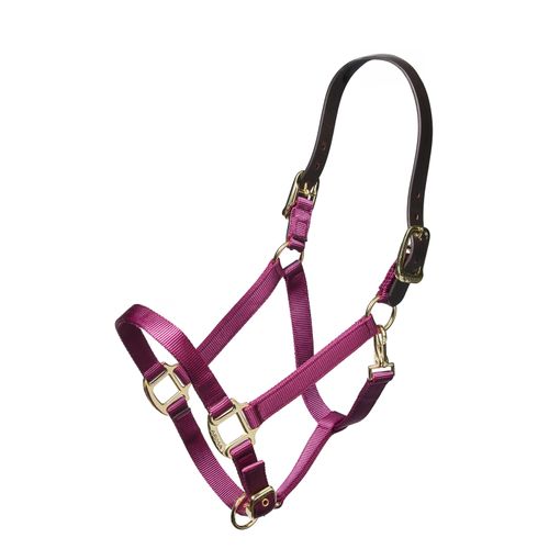 Shires Nylon Halter w/Leather Head Strap - Burgundy