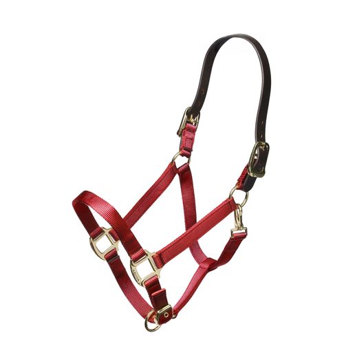 Shires Nylon Halter w/Leather Head Strap - Red