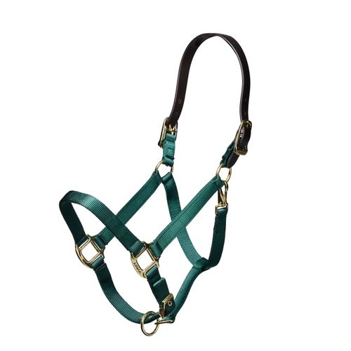 Shires Nylon Halter w/Leather Head Strap - Hunter