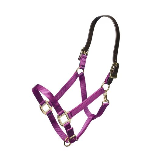 Shires Nylon Halter w/Leather Head Strap - Purple