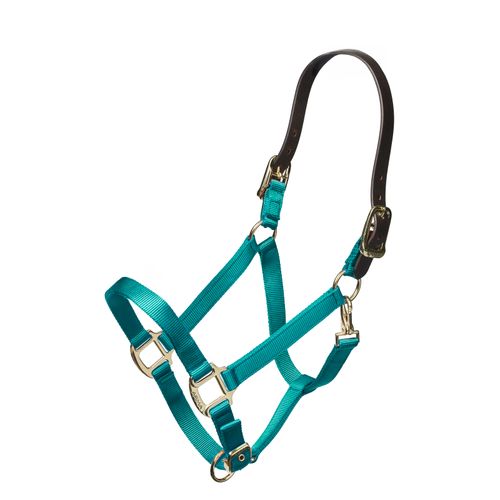 Shires Nylon Halter w/Leather Head Strap - Teal