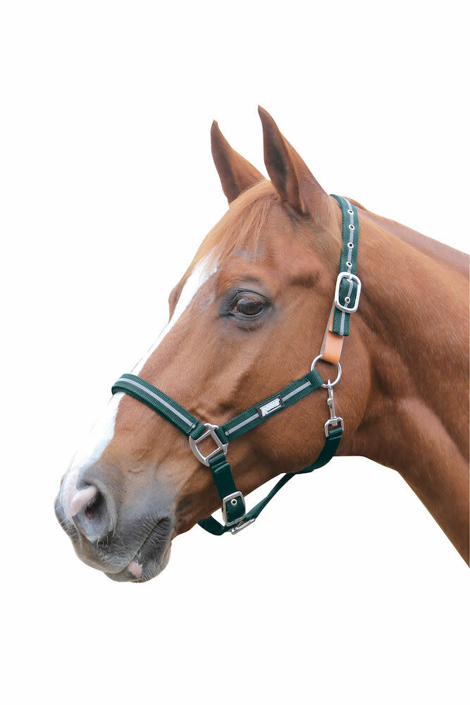 Roma Reflective Breakaway Headcollar - Hunter - Roma-BNX100265-Hunter ...