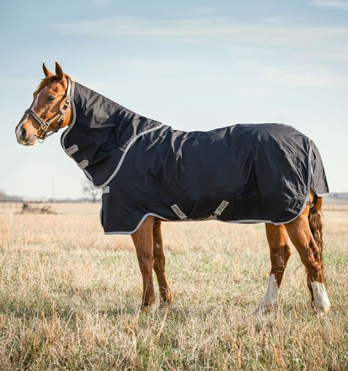 Amigo Stock Horse Plus 0g - Black/Silver