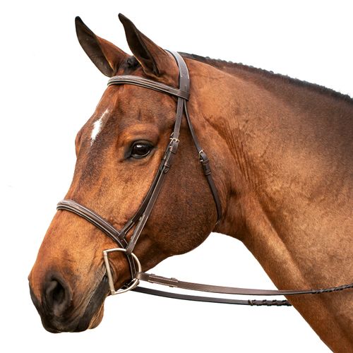 Equinavia Saga Fancy Stitched Hunter Bridle w/Reins - Chocolate Brown