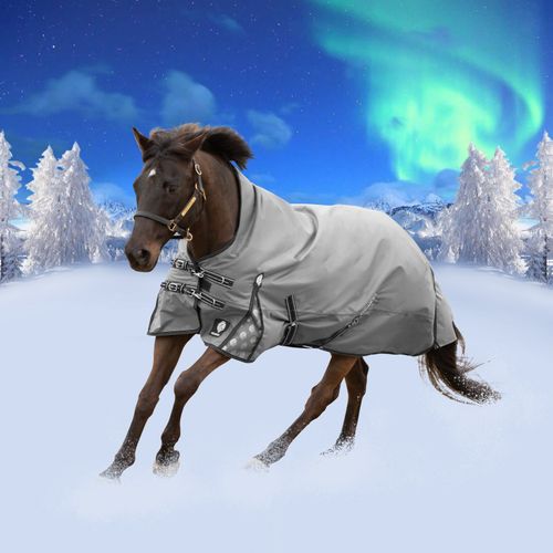 Equinavia Arktis Extended Neck Heavy Weight Turnout Blanket 300g - Charcoal Gray