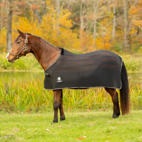 Equinavia Sefyr Scrim Sheet - Black