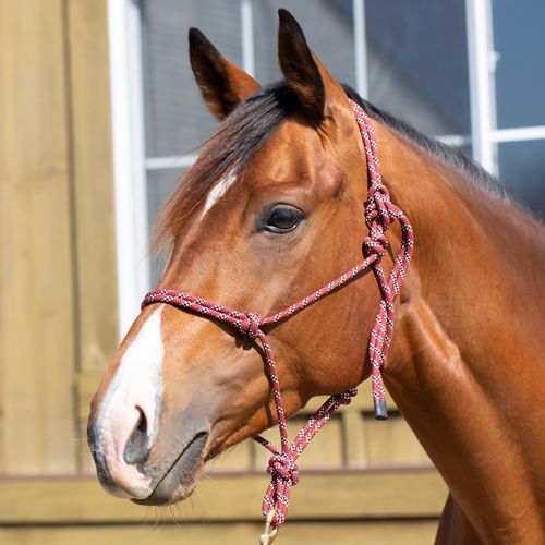 Equinavia Rope Halter - Brick Red/Black