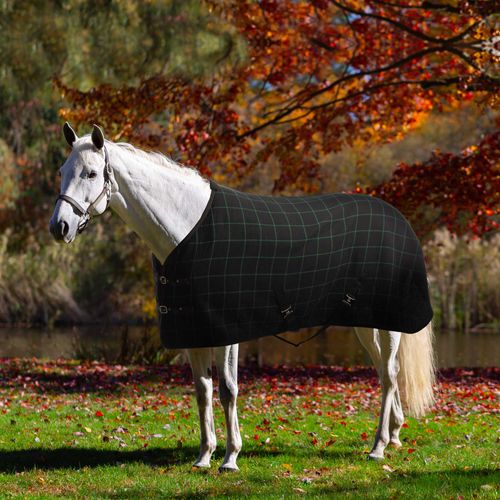 Equinavia Luftig Waffle Cooler - Black/Hunter Green