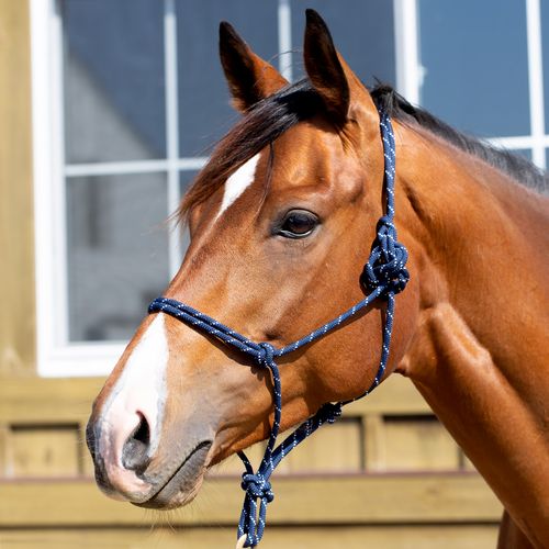 Equinavia Rope Halter - Navy/White