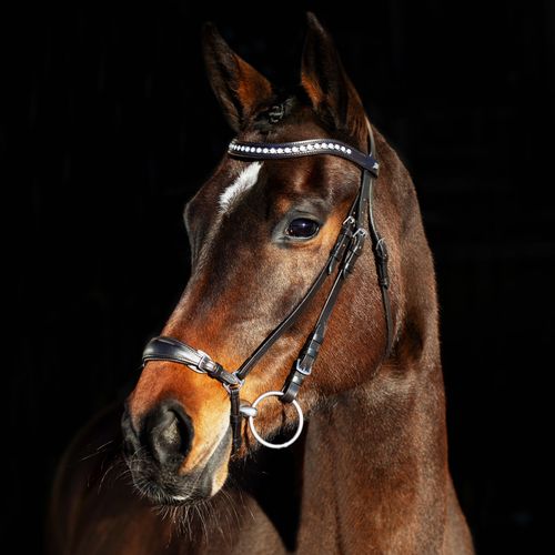 Horze Bergen Leather Remont Bridle - Brown