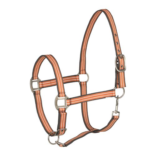 Horze Adepto Halter - Coral Gold