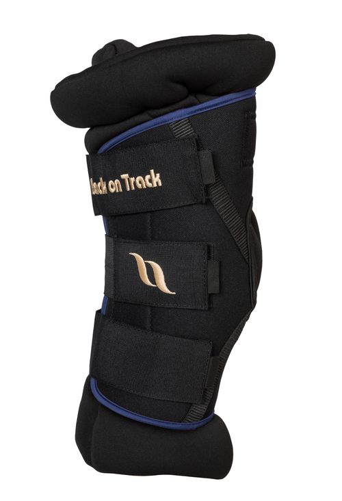 Back on Track Royal Padded Hock Boots Deluxe - Navy