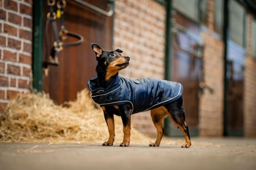 Horseware Signature Dog Rug - Navy