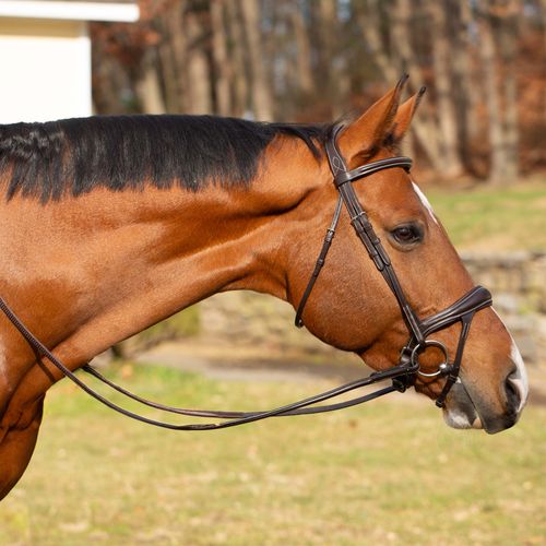 Equinavia Valkyrie Alternative Flash Bridle w/Rubber Reins - Chocolate Brown