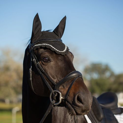 Equinavia Valkyrie Anatomic Dressage Bridle with Rubber Reins - Black