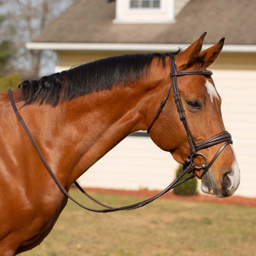 Equinavia Valkyrie Anatomic Jumper Bridle w/Rubber Reins - Chocolate Brown