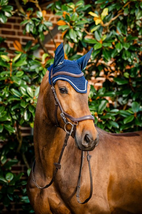 Horseware Signature Ear Net - Navy