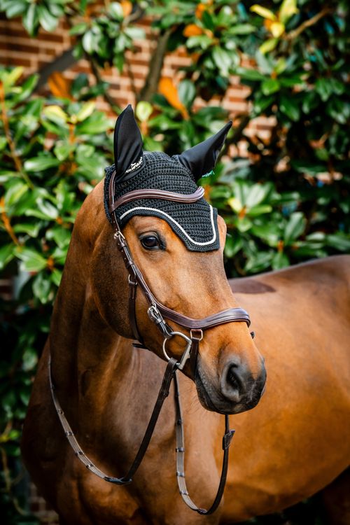 Horseware Signature Ear Net - Black