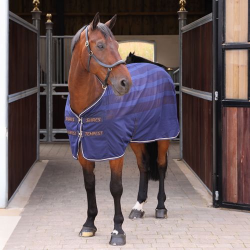 Shires Tempest Original Scrim Cooler - Ink