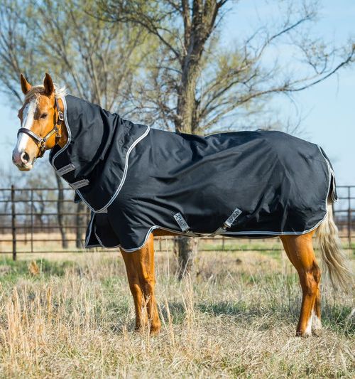 Amigo Stock Horse Plus 200g - Black/Silver/Black