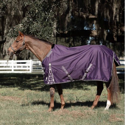 Equinavia Norse Turnout Sheet - Grape Purple