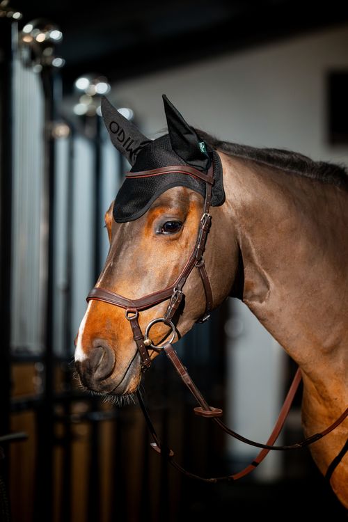 Amigo Earnet - Black