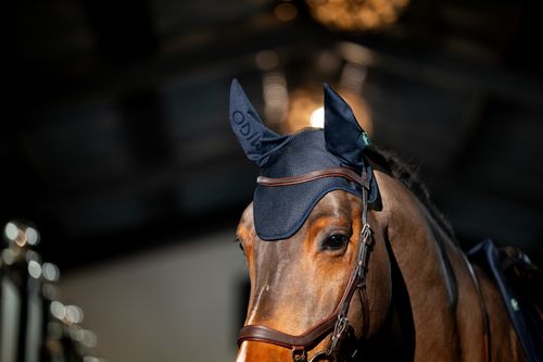 Amigo Earnet - Navy