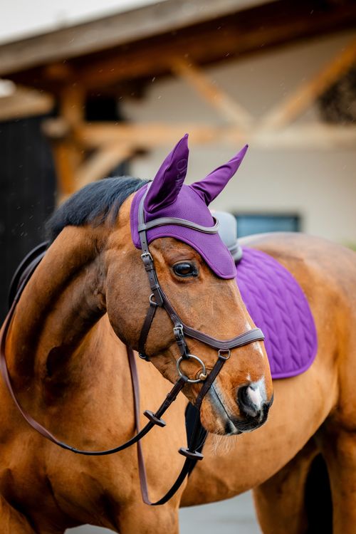 Amigo Earnet - Winterberry