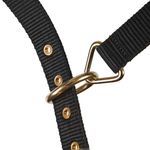 Main