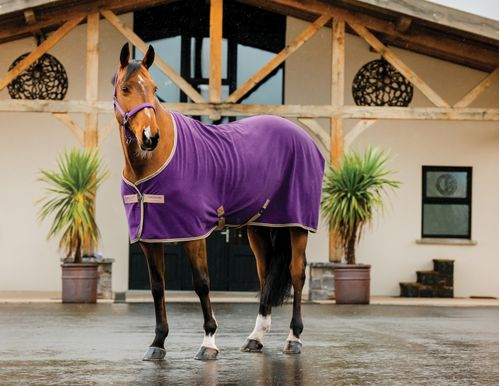 Amigo Fleece Cooler - Winterberry/Taupe