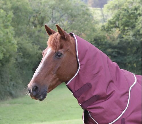 Shires Highlander Plus 100 Neck Cover - Maroon