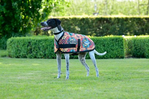 Weatherbeeta Comfitec Essential Dog Coat - Western Sunset Print
