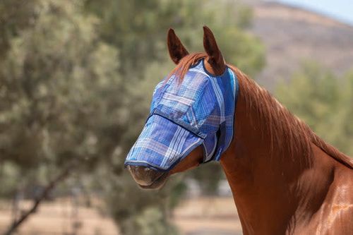 Kensington Fly Mask w/Web Trim and Nose - Kentucky Blue