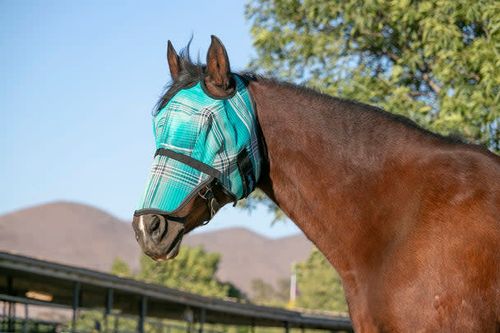 Kensington Fly Mask w/Web Trim and Nose - Atlantis