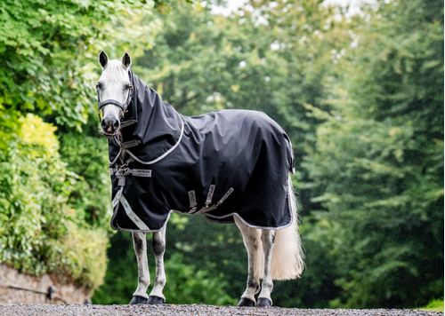 Amigo Bravo 12 Plus Bundle - Black/Titanium Grey/Silver