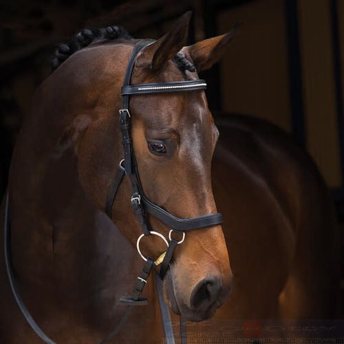 READY TO SHIP: Rambo Rambo Original Diamante Micklem Bridle - Cob - Black English Leather