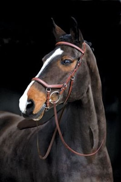 READY TO SHIP: Rambo Micklem Original Competition Bridle - Pony - Tabac