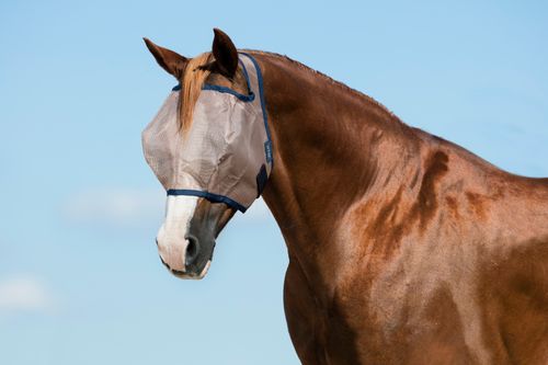 READY TO SHIP: Mio Fly Mask Without Ears - Cob - Bronze/Navy