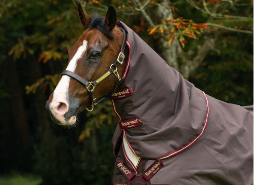 READY TO SHIP: Amigo 1200D Hood 150g - Small - Brown/Red/Gold/Red